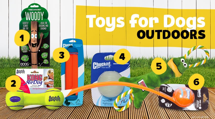 Keeping Your Dog Entertained: Expert Tips for Daily Stimulation