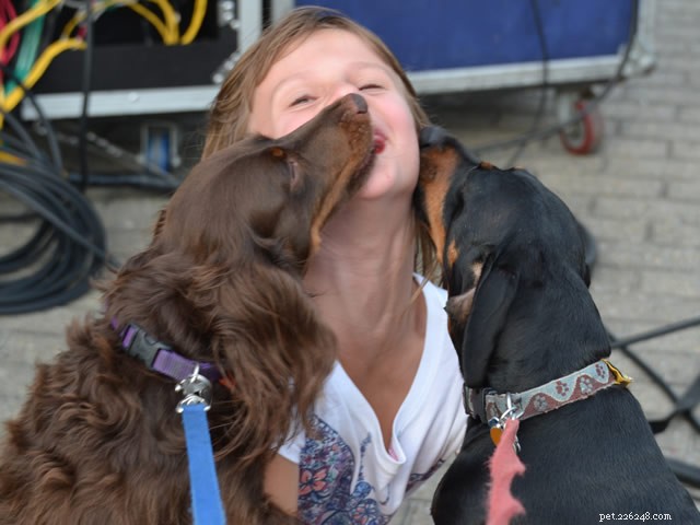 Effective Ways to Stop Your Dog from Excessive Licking