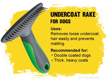 How to Pick the Perfect Brush for Your Dog’s Coat