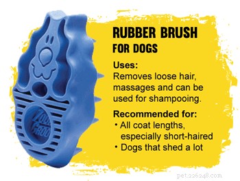 How to Pick the Perfect Brush for Your Dog’s Coat
