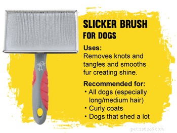 How to Pick the Perfect Brush for Your Dog’s Coat