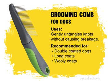 How to Pick the Perfect Brush for Your Dog’s Coat