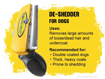 How to Pick the Perfect Brush for Your Dog’s Coat