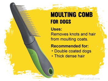 How to Pick the Perfect Brush for Your Dog’s Coat