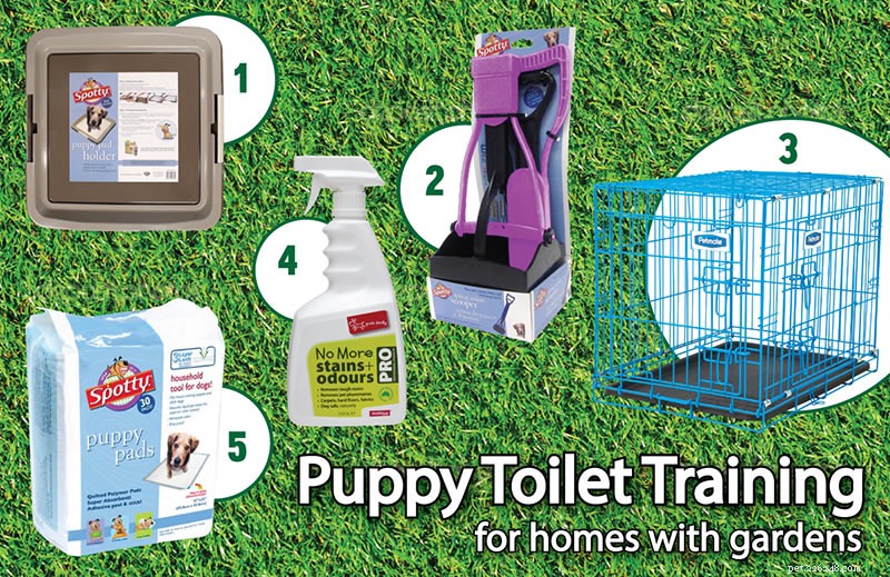 How to Toilet Train Your Puppy: The Ultimate Expert Guide