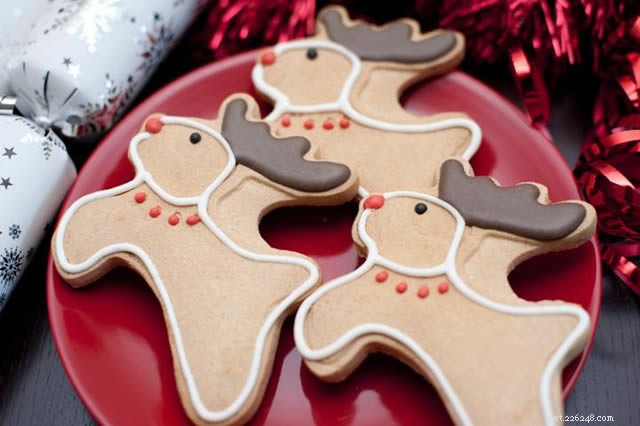 Ensuring a Safe & Joyful Christmas for Your Pets
