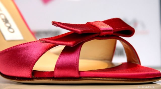 Prevent Your Dog from Chewing Your Jimmy Choo Heels: Proven Tips