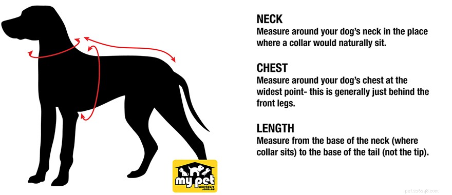 Choosing the Perfect Dog Coat: A Size Guide for Comfort and Style