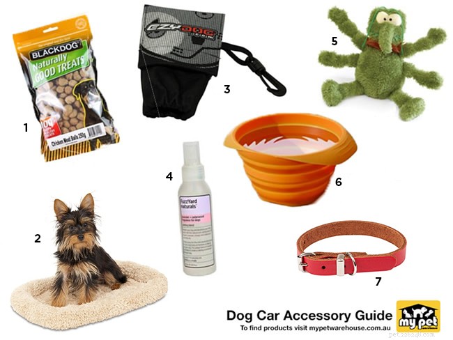 Safe Car Travel: Essential Tips for Dog Owners