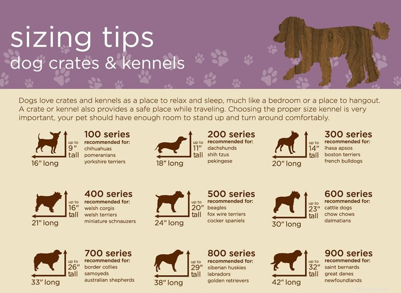 Crate Training Made Easy: Proven Tips for a Calm, Well‑Behaved Dog