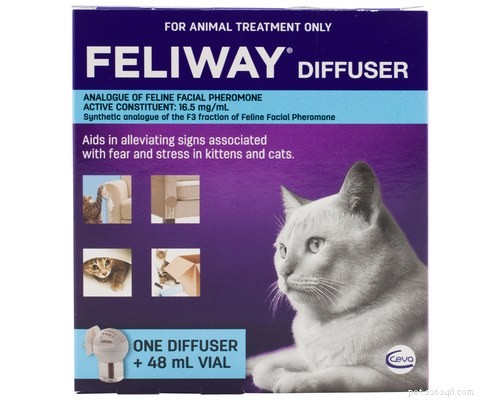 Smooth Moves: Relocating Safely with Your Cat