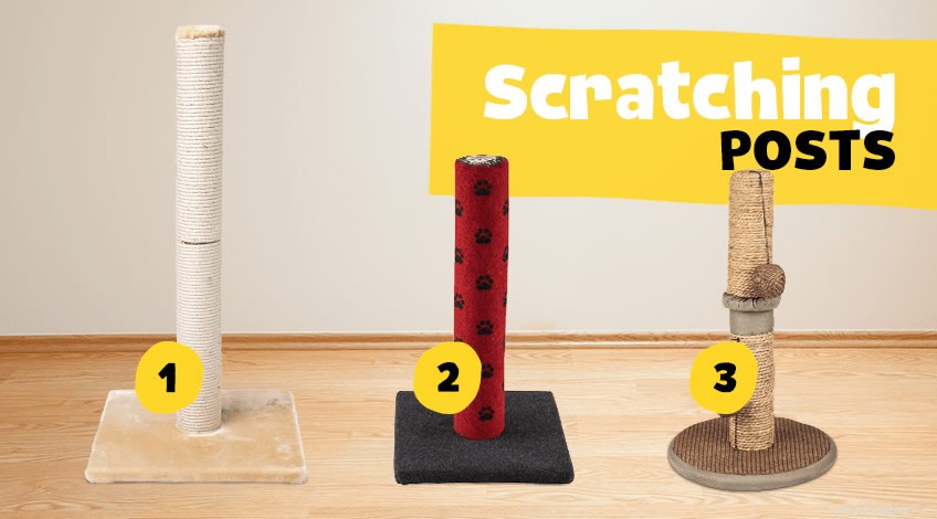 Effective Ways to Stop Cats From Scratching Your Furniture