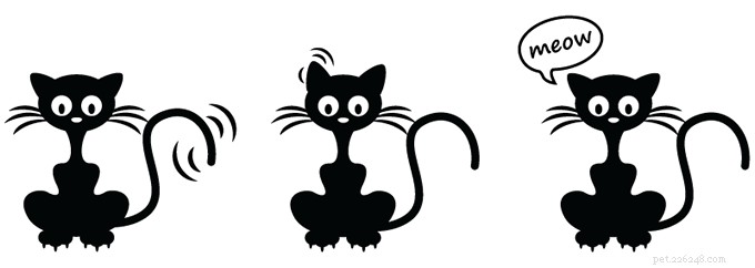 Do Cats Really Know Their Names? Understanding Their Responses