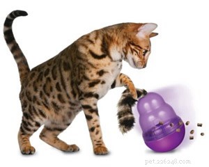 Top Indoor Cat Toys: Keep Your Feline Happy & Healthy
