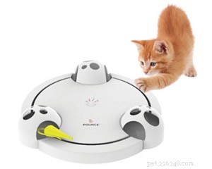 Top Indoor Cat Toys: Keep Your Feline Happy & Healthy