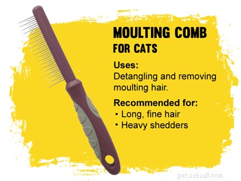 How to Pick the Perfect Cat Brush for a Healthy, Tangle-Free Coat