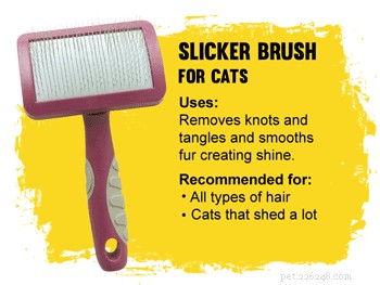 How to Pick the Perfect Cat Brush for a Healthy, Tangle-Free Coat