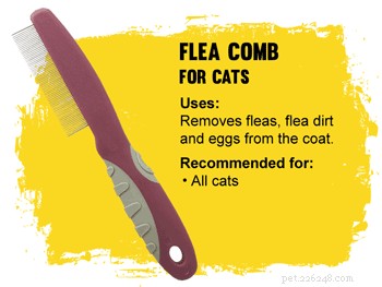 How to Pick the Perfect Cat Brush for a Healthy, Tangle-Free Coat