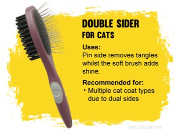 How to Pick the Perfect Cat Brush for a Healthy, Tangle-Free Coat