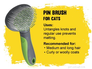 How to Pick the Perfect Cat Brush for a Healthy, Tangle-Free Coat