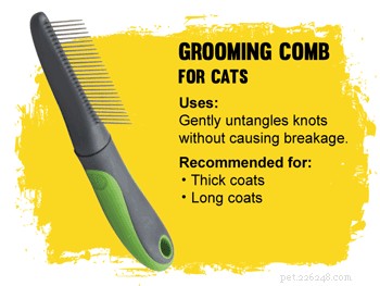 How to Pick the Perfect Cat Brush for a Healthy, Tangle-Free Coat