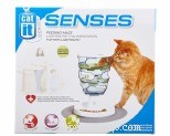 Why Does My Cat Attack Me? Causes, Prevention, and Solutions