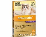 Why Does My Cat Attack Me? Causes, Prevention, and Solutions