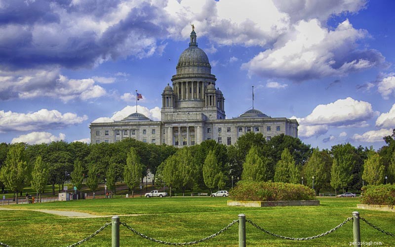 Top U.S. States Facing the Biggest Shortage of Veterinarians