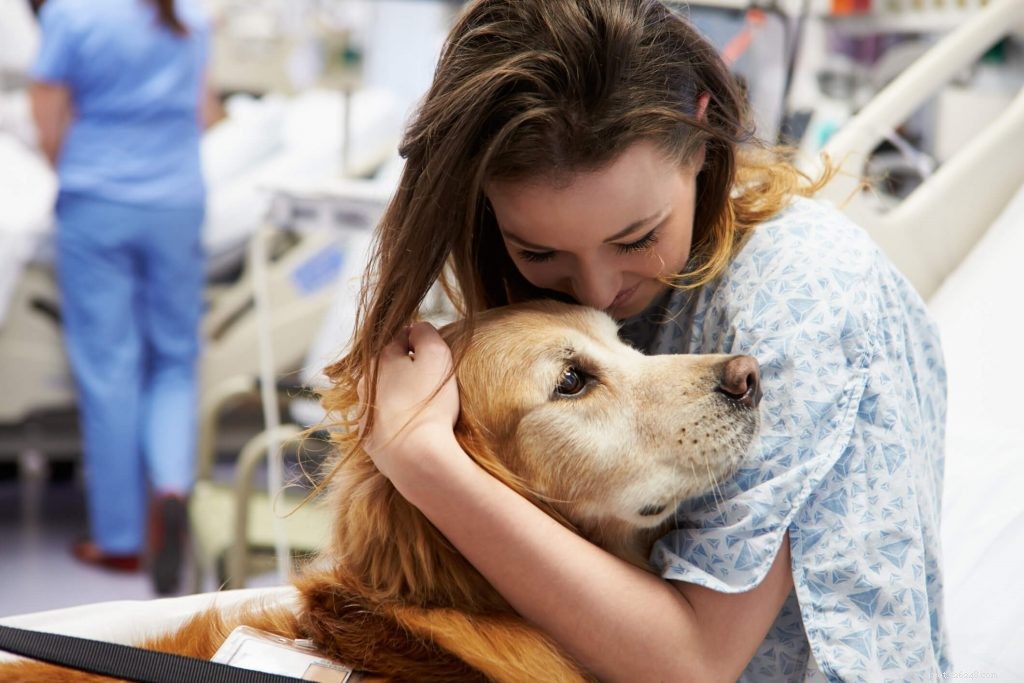 How Dog Ownership Enhances Your Health and Well‑Being