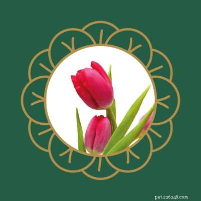 Avoid Pet Poisoning: Toxic Plants and Flowers Dangerous to Cats and Dogs