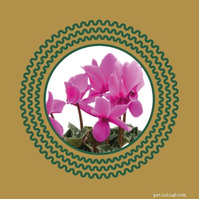 Avoid Pet Poisoning: Toxic Plants and Flowers Dangerous to Cats and Dogs