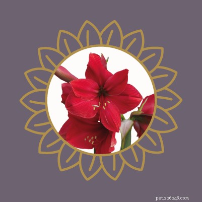 Avoid Pet Poisoning: Toxic Plants and Flowers Dangerous to Cats and Dogs