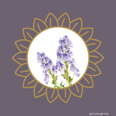 Avoid Pet Poisoning: Toxic Plants and Flowers Dangerous to Cats and Dogs