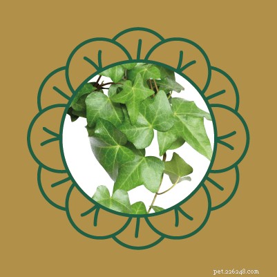 Avoid Pet Poisoning: Toxic Plants and Flowers Dangerous to Cats and Dogs
