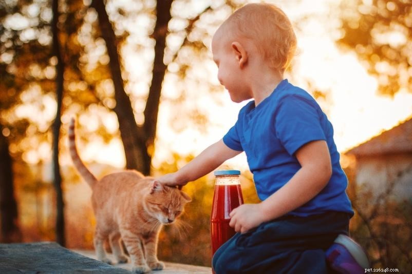Stop Cat Biting: Proven Techniques for Gentle, Safe Pet Interaction