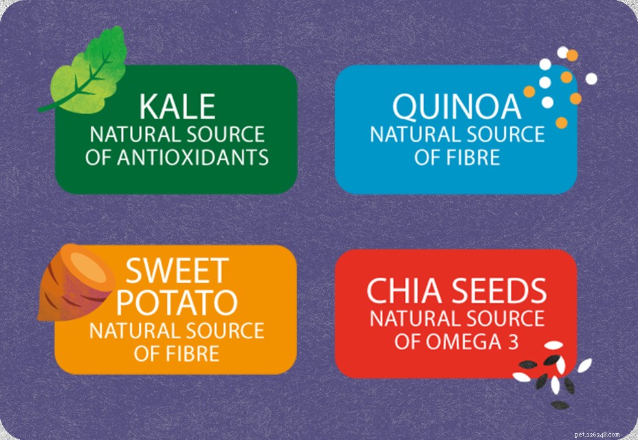 Top 4 Essential Superfoods Every Dog Needs for Optimal Health