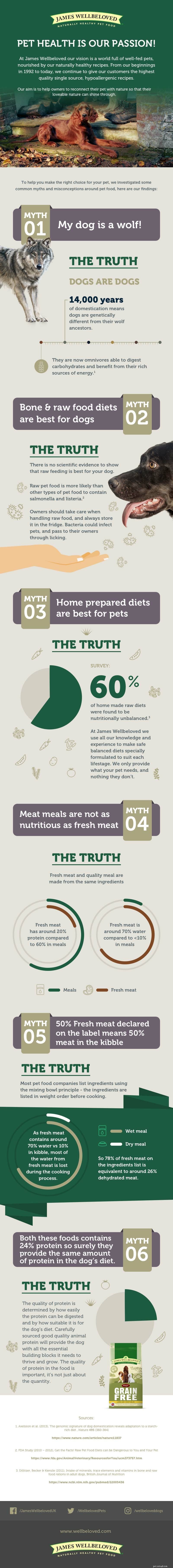 Debunking Dog Food Myths: Expert Tips for Choosing the Right Diet