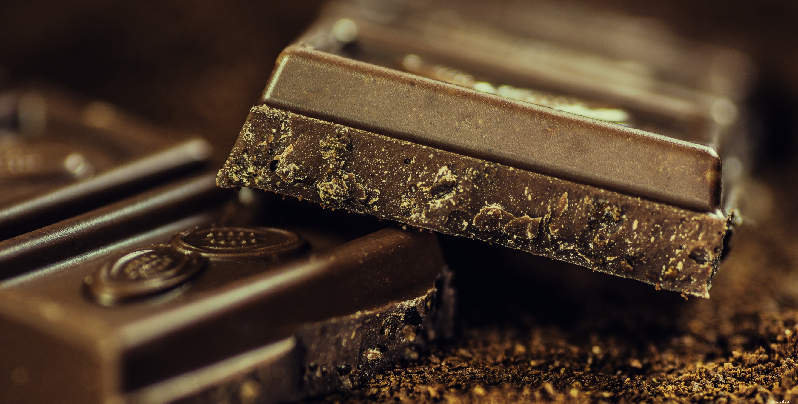 Can Dogs Consume Chocolate? Risks, Symptoms, and Prevention