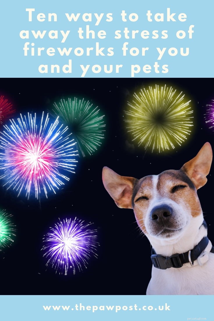 10 Proven Ways to Ease Firework Stress in Dogs & Cats