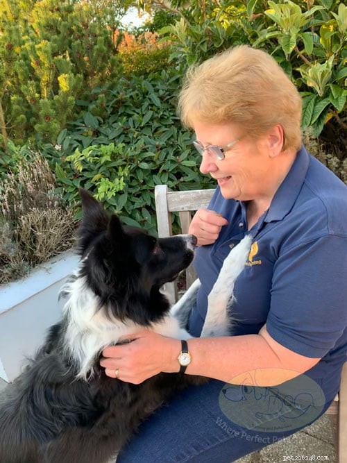 Helping Your Dog Adjust to Post‑Lockdown Life: Expert Tips