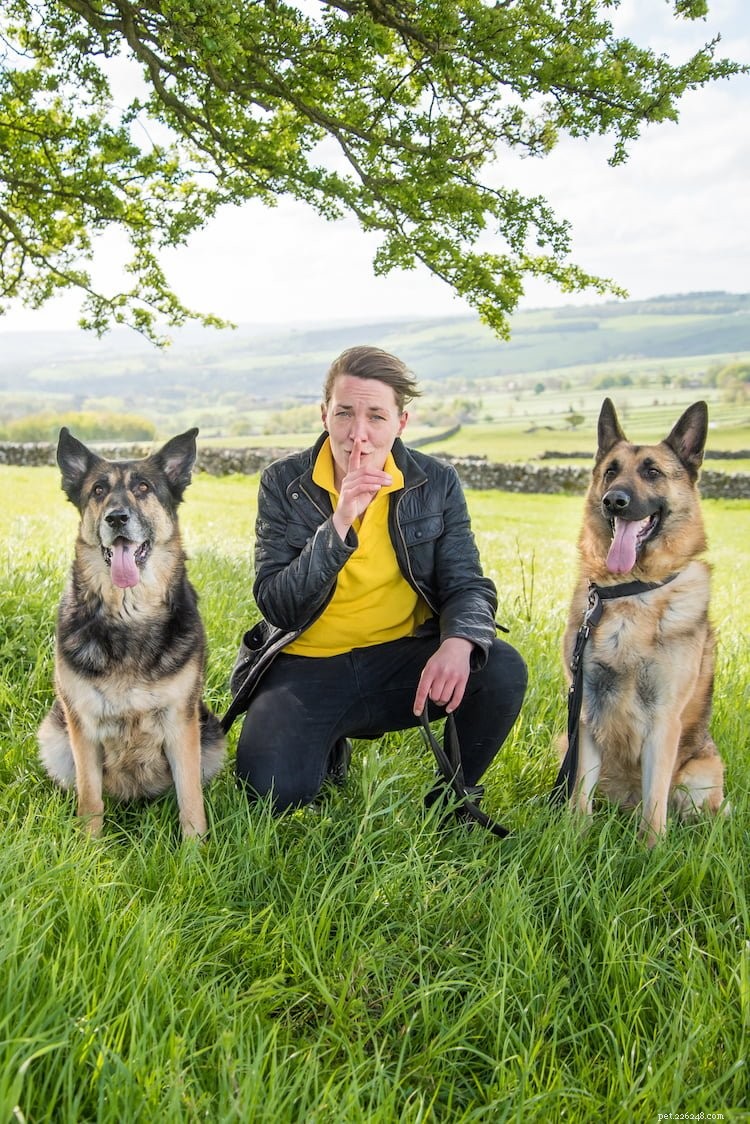 Helping Your Dog Adjust to Post‑Lockdown Life: Expert Tips