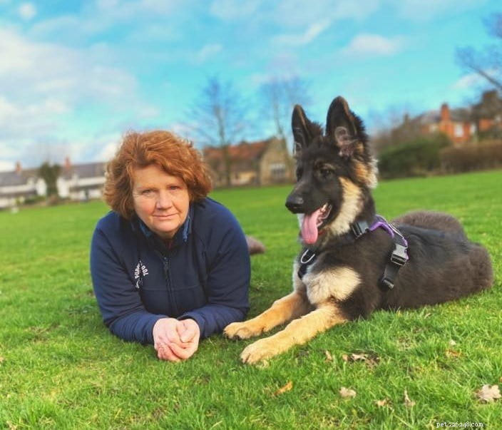 Helping Your Dog Adjust to Post‑Lockdown Life: Expert Tips