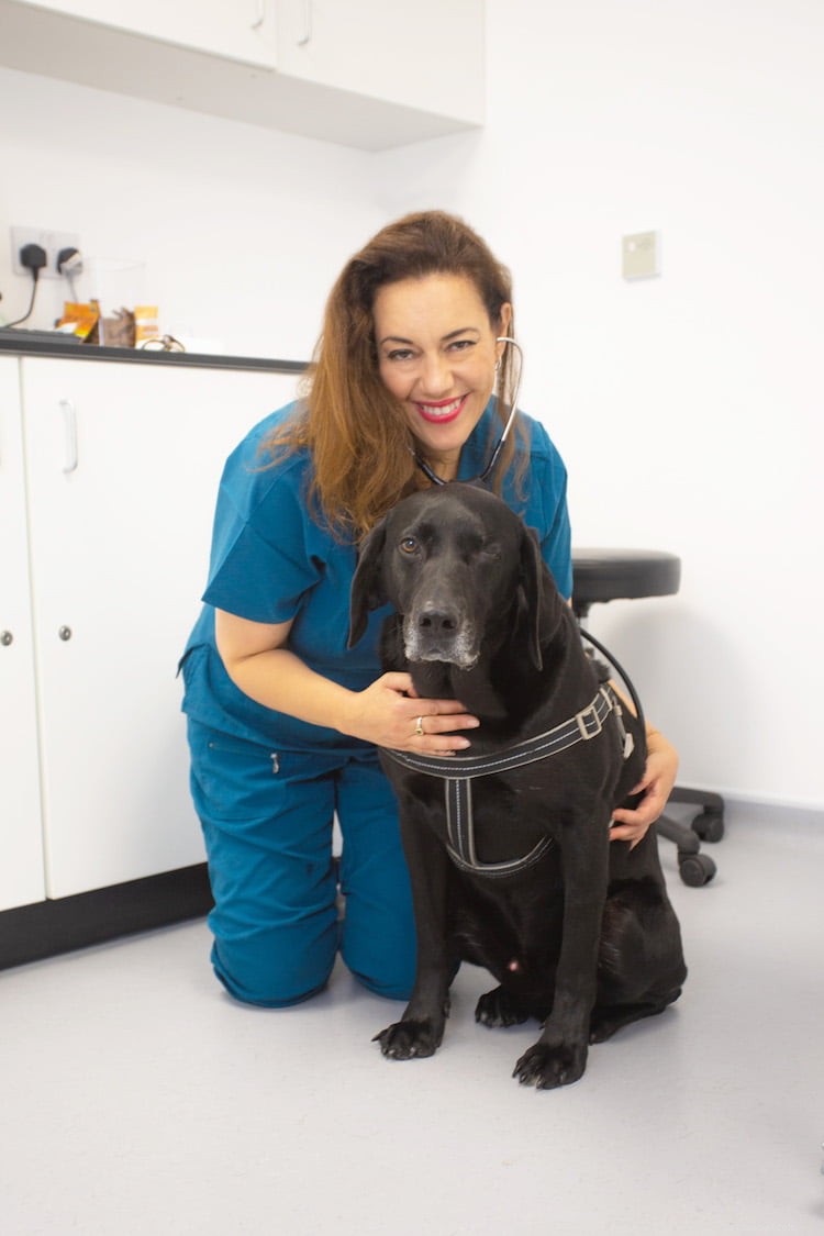 Professional Guide: How to Clean Your Dog’s Ears with Cristina Diaz-Madronero