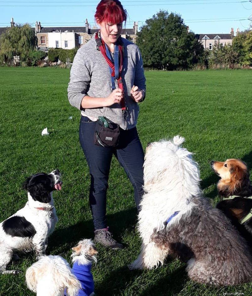 Supporting Your Rescue Dog – Expert Guidance from Suzanne Gould
