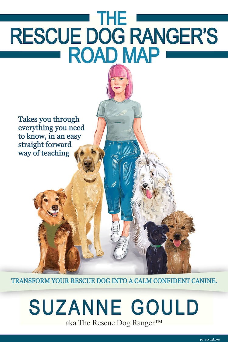 Supporting Your Rescue Dog – Expert Guidance from Suzanne Gould