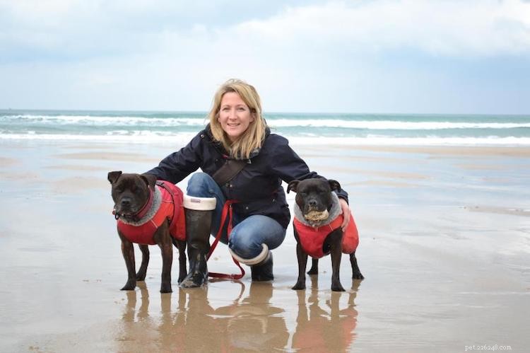 Keep Your Dog Happy & Healthy During COVID-19 Lockdown: Proven Tips