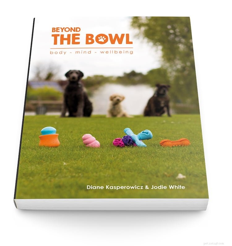 Keep Your Dog Happy & Healthy During COVID-19 Lockdown: Proven Tips