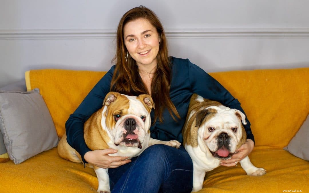 Take Action: Join the Get Pets Fit Campaign to Combat Pet Obesity