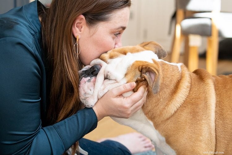 Take Action: Join the Get Pets Fit Campaign to Combat Pet Obesity