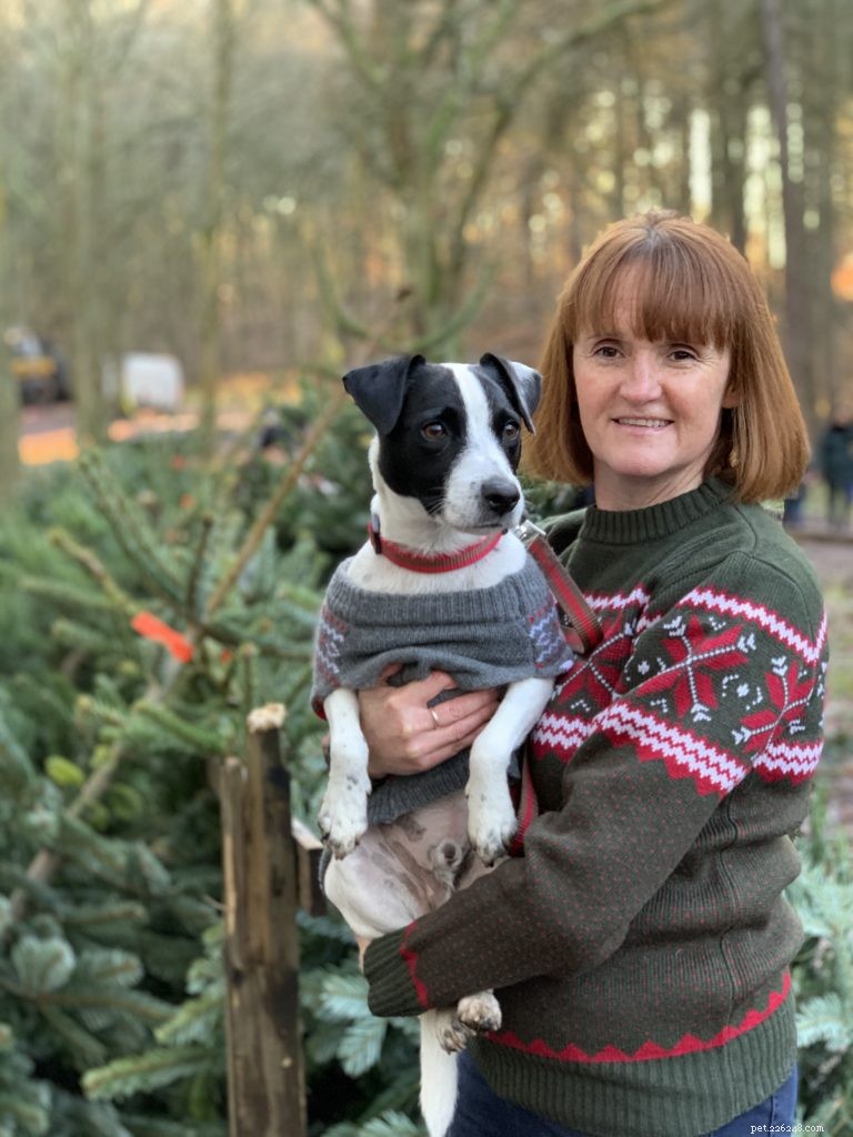 How to Include Your Pet in Holiday Joy: Make Them Feel Like Family This Christmas